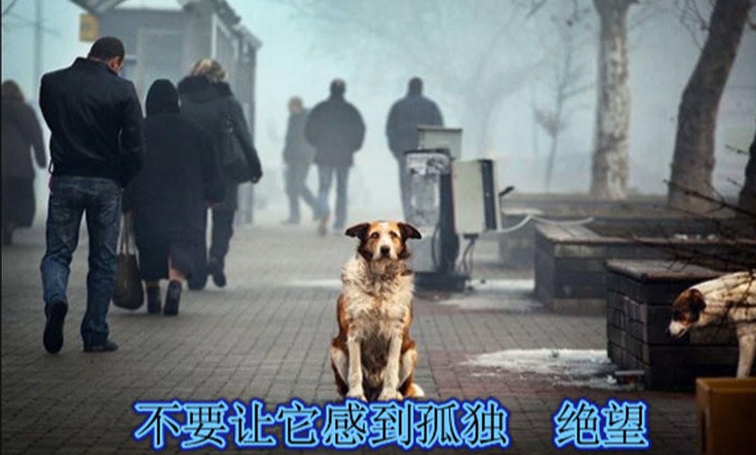 乌鲁木齐乌鲁木齐爱影圈微博微信转发案例